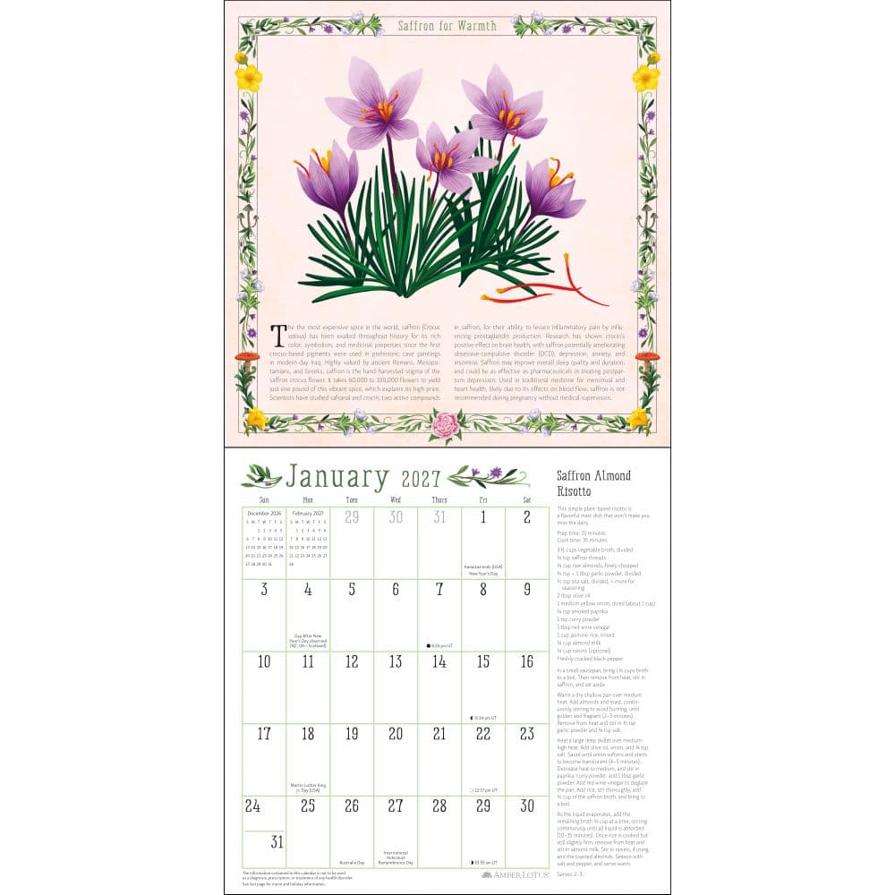Kitchen Witch 2027 Wall Calendar Second Alternate Image