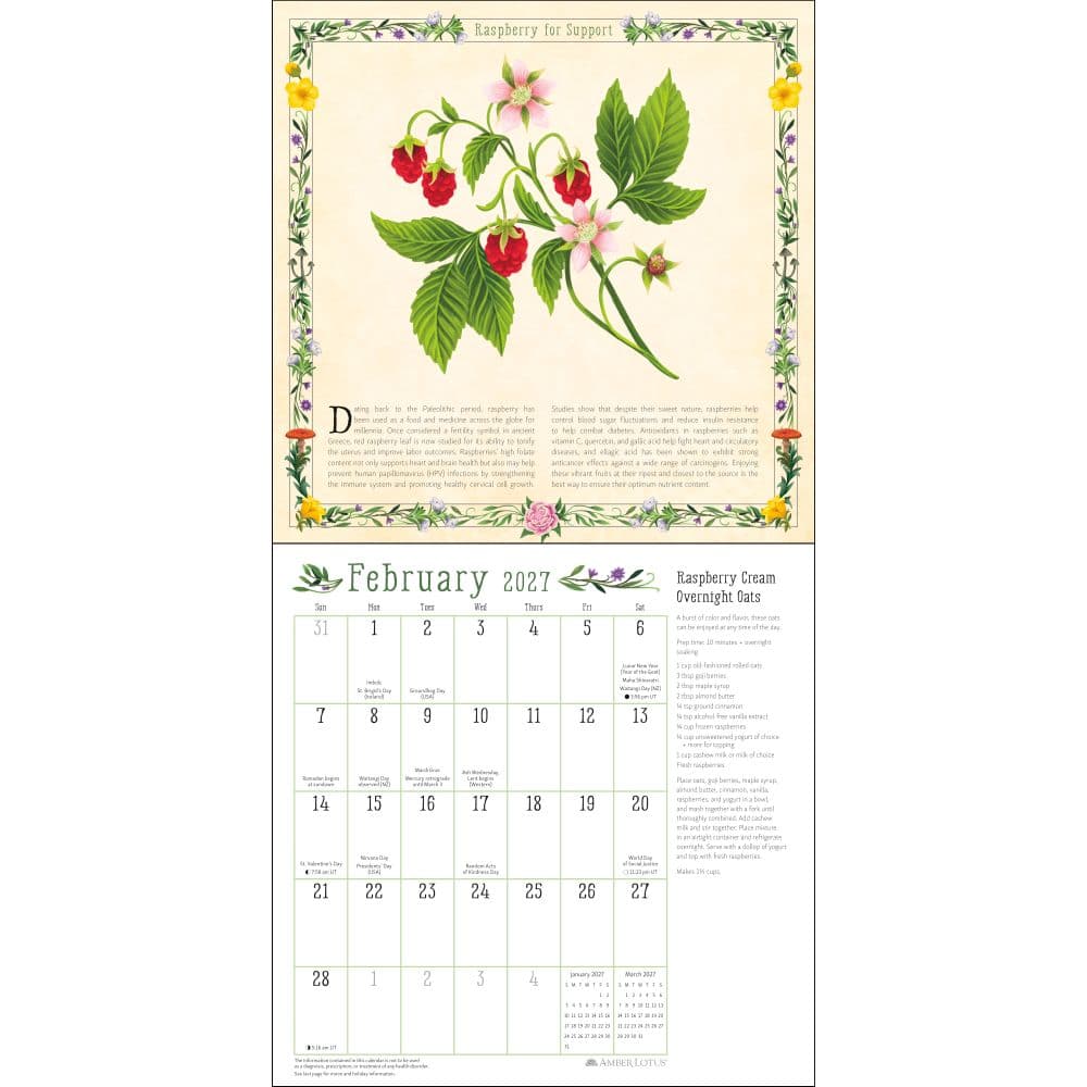 Kitchen Witch 2027 Wall Calendar Third Alternate Image