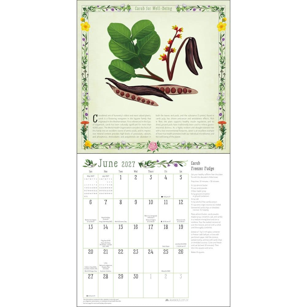Kitchen Witch 2027 Wall Calendar Fourth Alternate Image