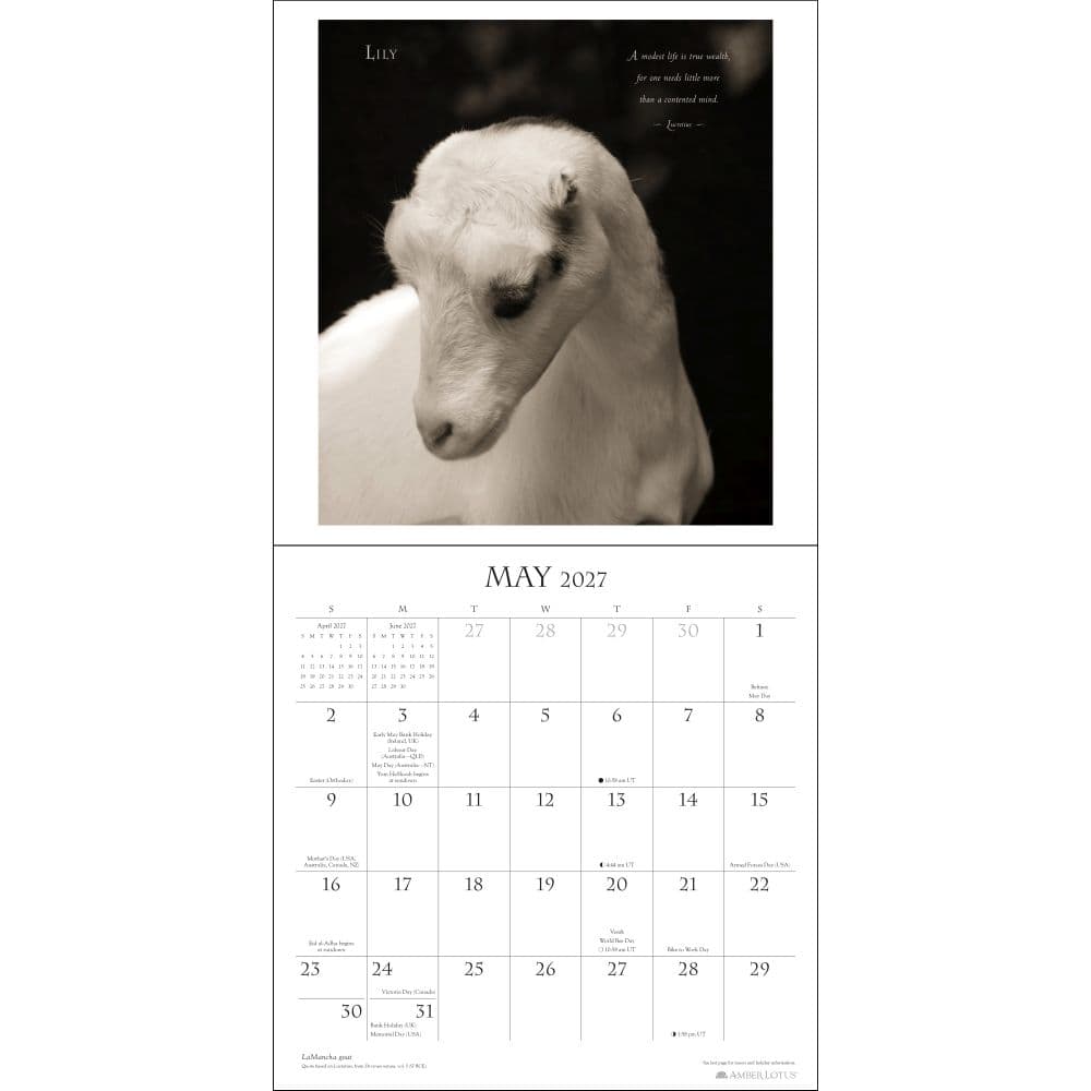 I am Goat 2027 Wall Calendar Fifth Alternate Image