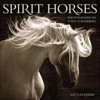image Spirit Horses 2027 Wall Calendar Main Product Image
