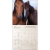 image Spirit Horses 2027 Wall Calendar Second Alternate Image