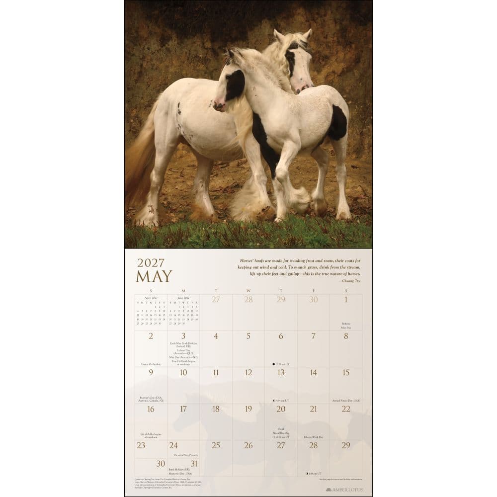 Spirit Horses 2027 Wall Calendar Third Alternate Image