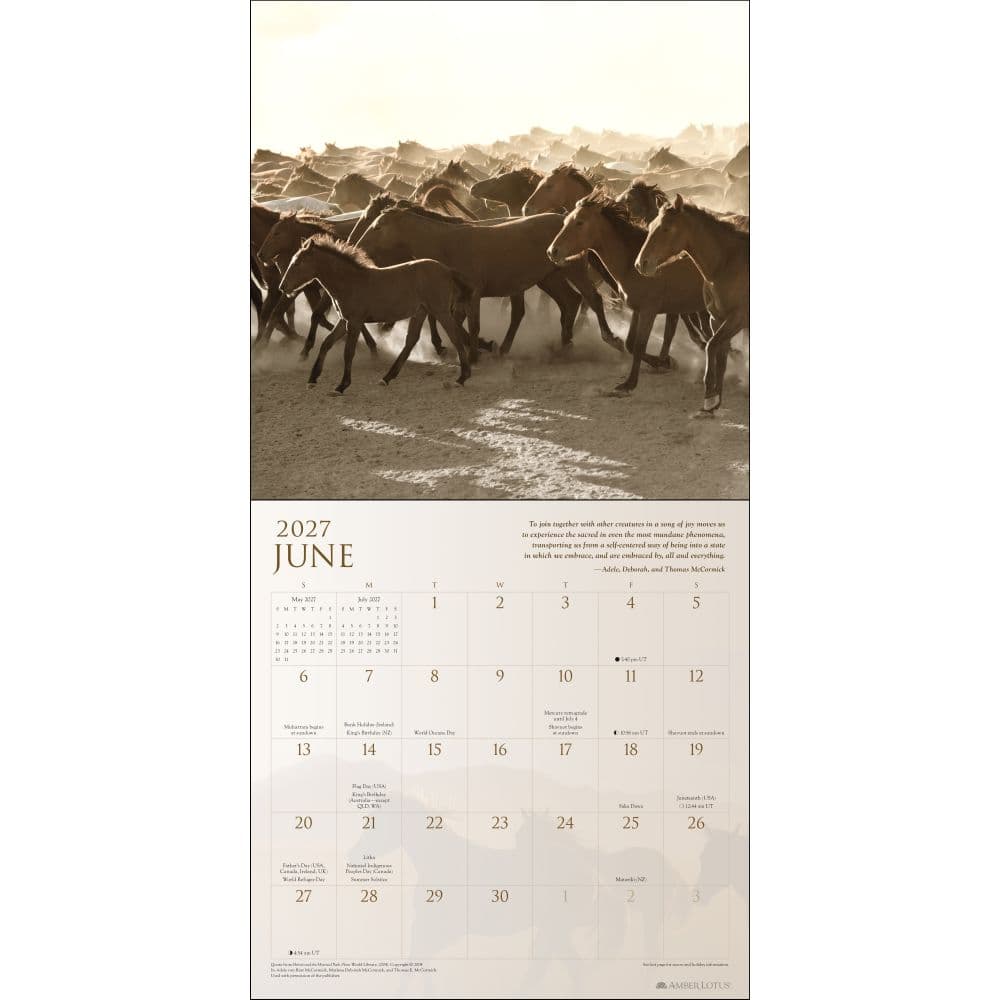 Spirit Horses 2027 Wall Calendar Fourth Alternate Image