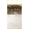 image Spirit Horses 2027 Wall Calendar Fourth Alternate Image