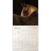 image Spirit Horses 2027 Wall Calendar Fifth Alternate Image