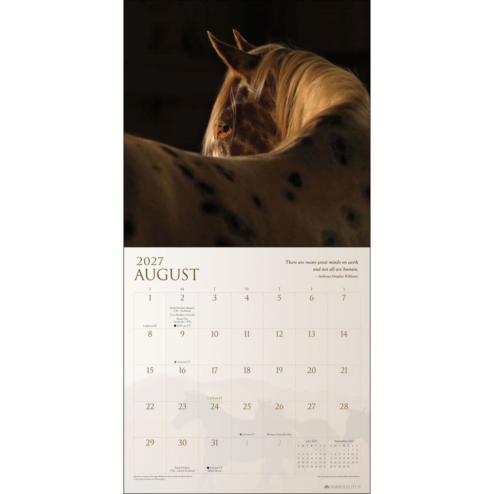 Spirit Horses 2027 Wall Calendar Fifth Alternate Image