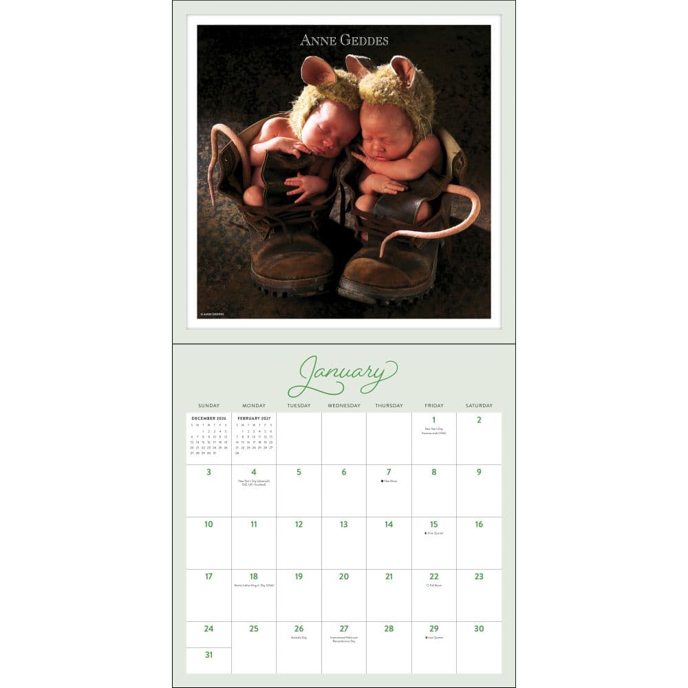 Anne Geddes 2027 Wall Calendar Second Alternate Image