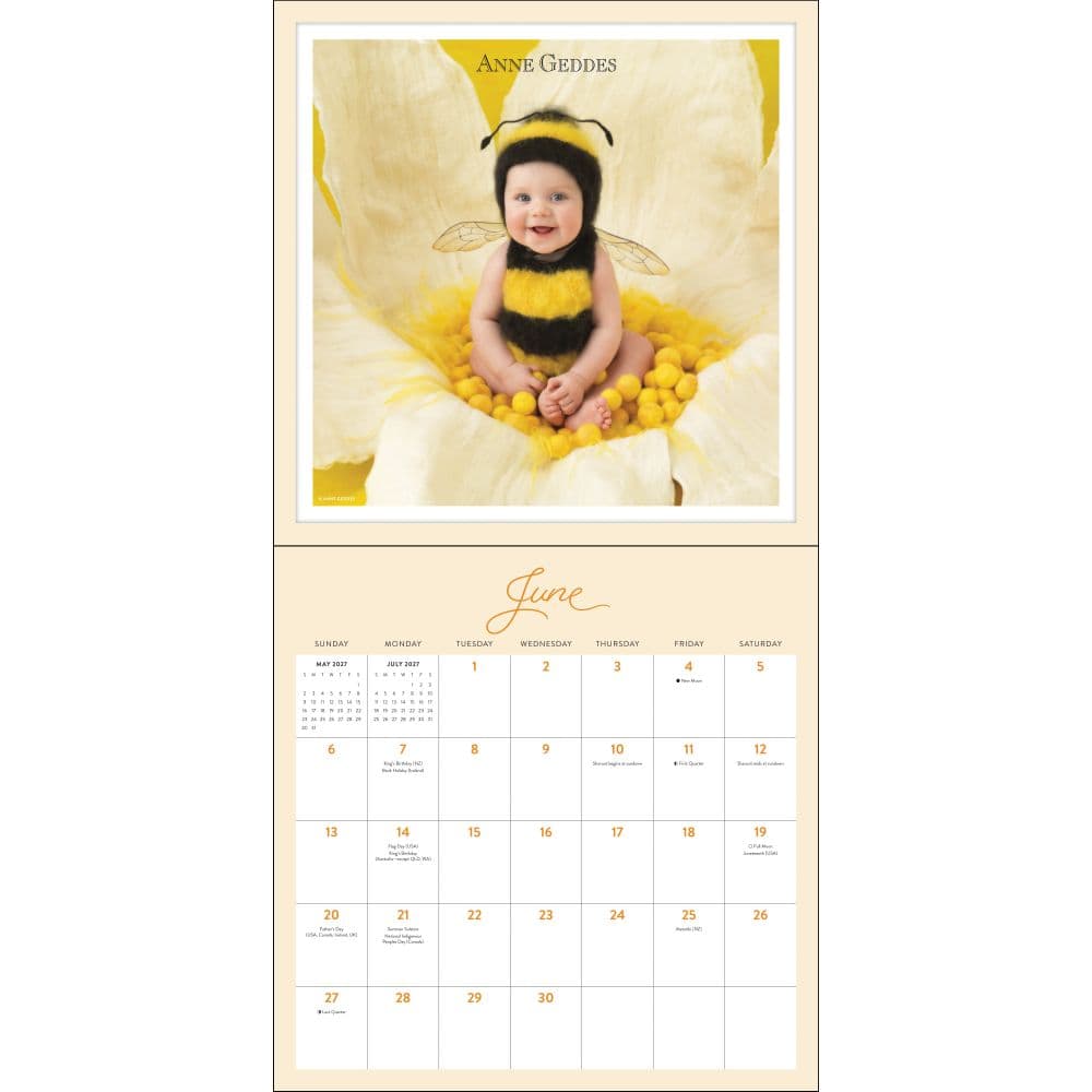 Anne Geddes 2027 Wall Calendar Third Alternate Image