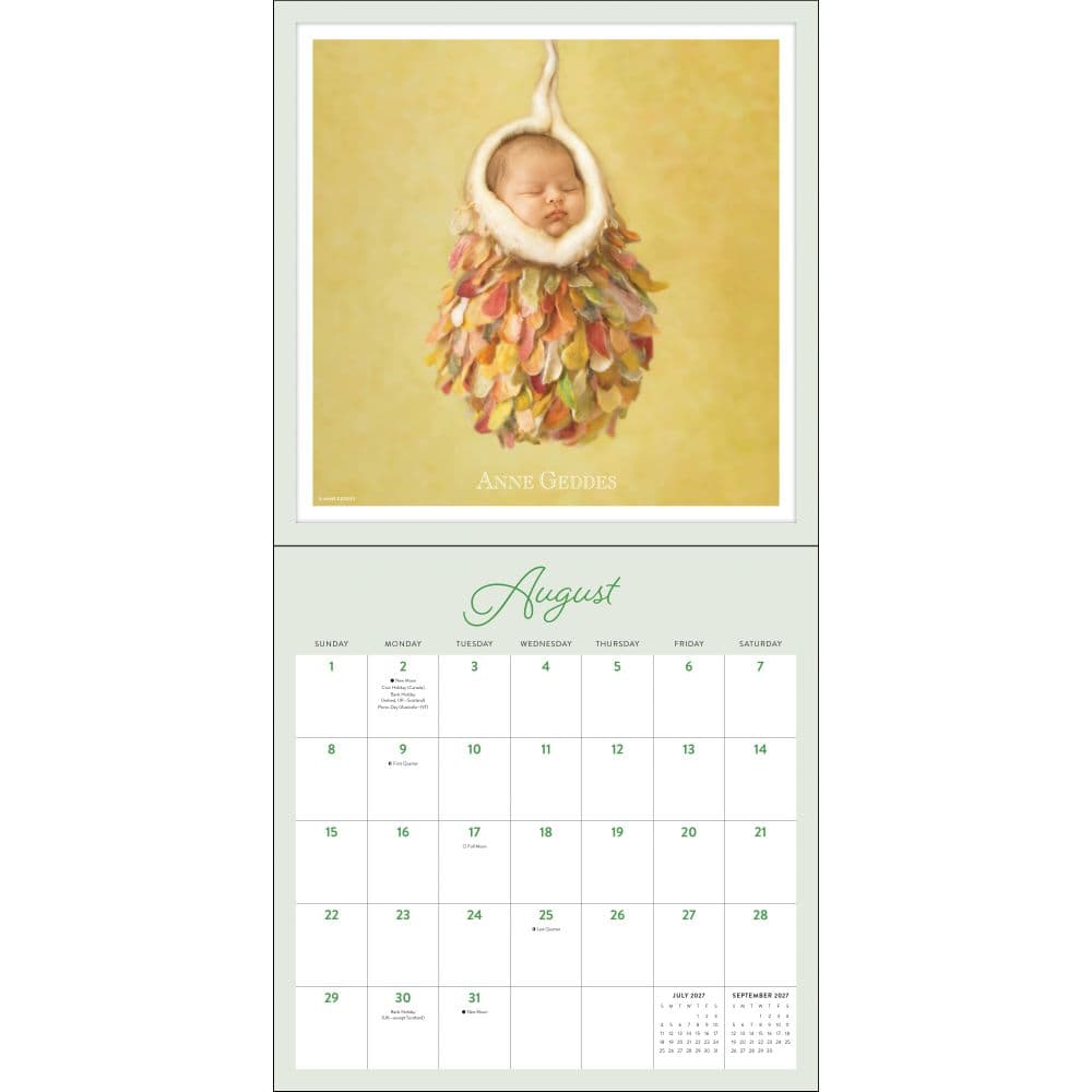 Anne Geddes 2027 Wall Calendar Fourth Alternate Image