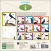 image Effin Birds 2027 Wall Calendar First Alternate Image