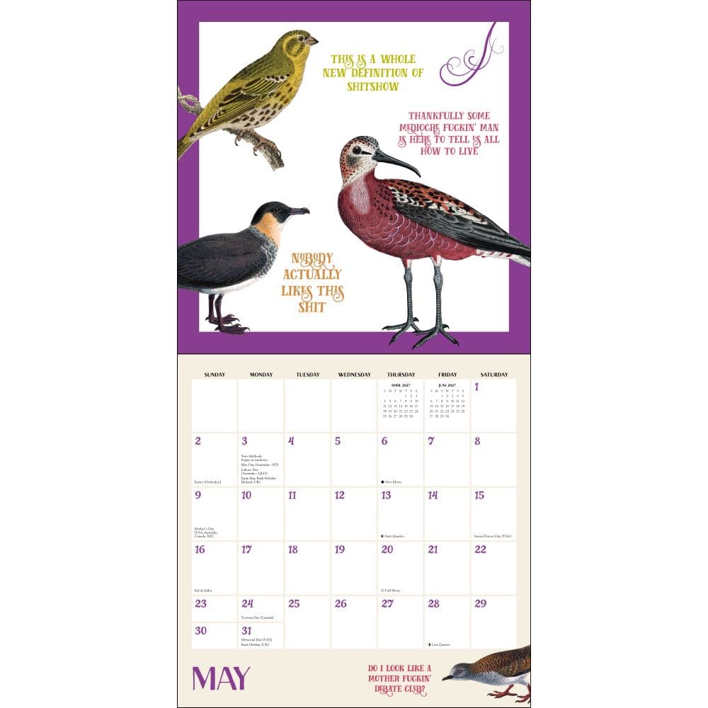 Effin Birds 2027 Wall Calendar Third Alternate Image