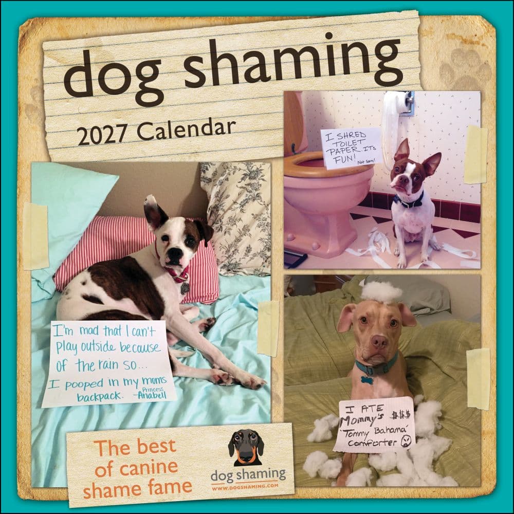 Dog Shaming 2027 Wall Calendar Main Product Image