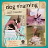 image Dog Shaming 2027 Wall Calendar Main Product Image