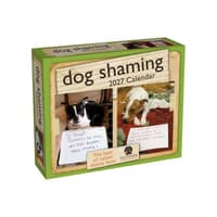 image Dog Shaming 2027 Desk Calendar Main Product Image