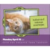 image Cats Are Cheaper Than Therapy 2027 Desk Calendar Third Alternate Image