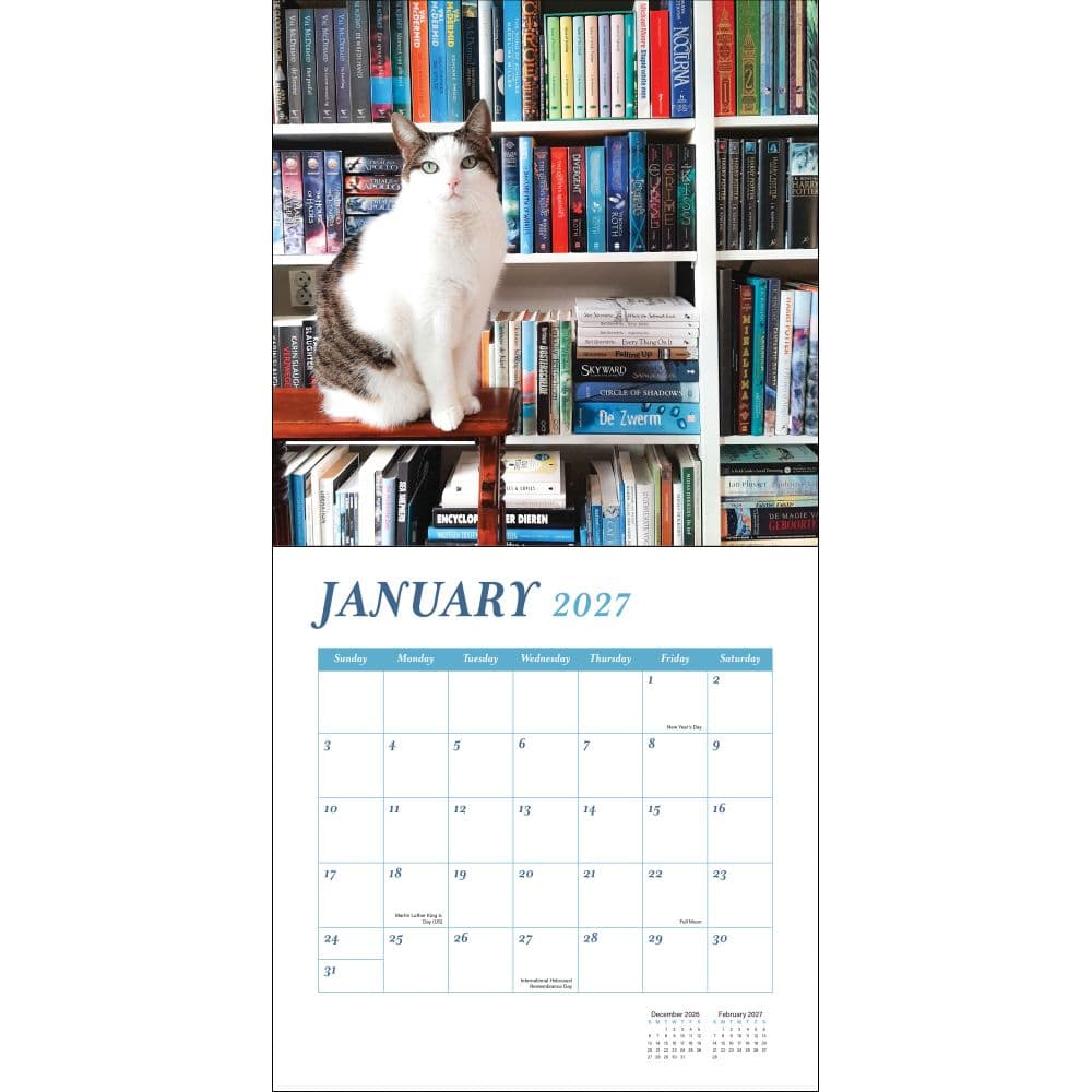 Cats and Books 2027 Wall Calendar First Alternate Image