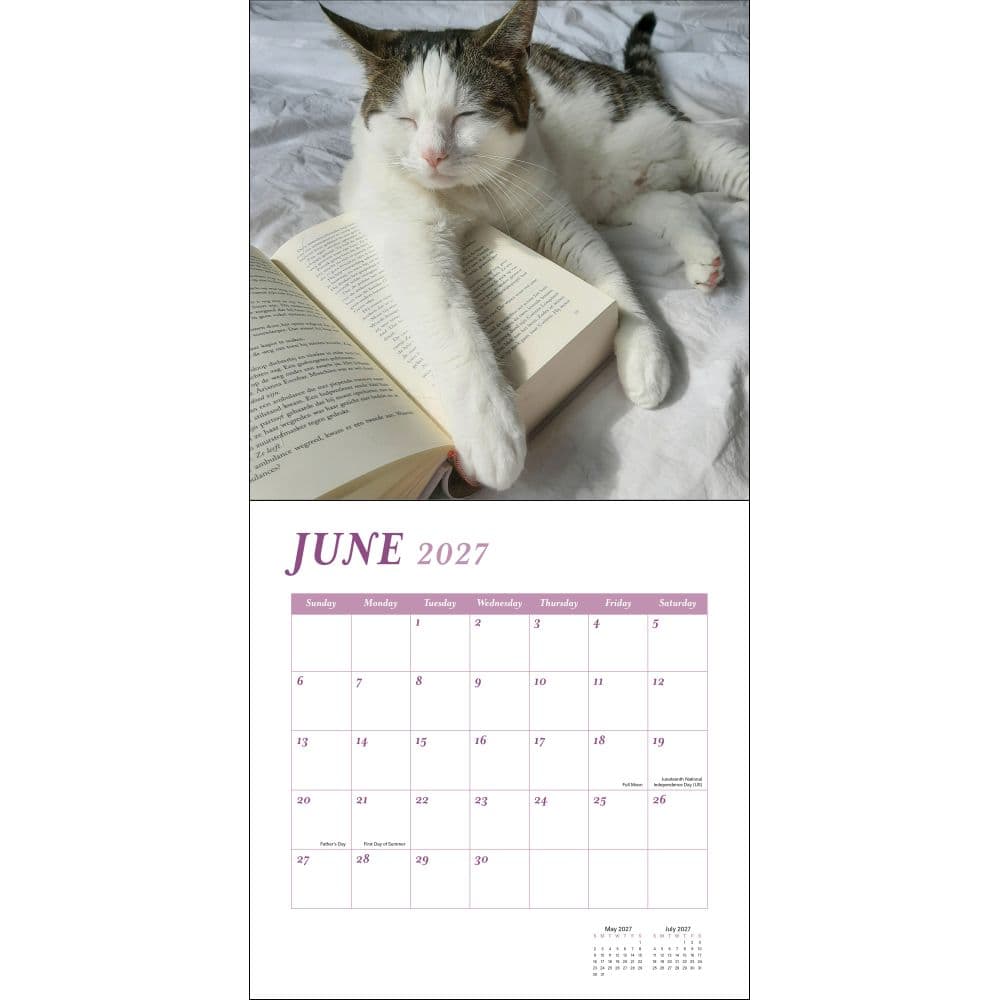 Cats and Books 2027 Wall Calendar Second Alternate Image