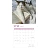 image Cats and Books 2027 Wall Calendar Second Alternate Image