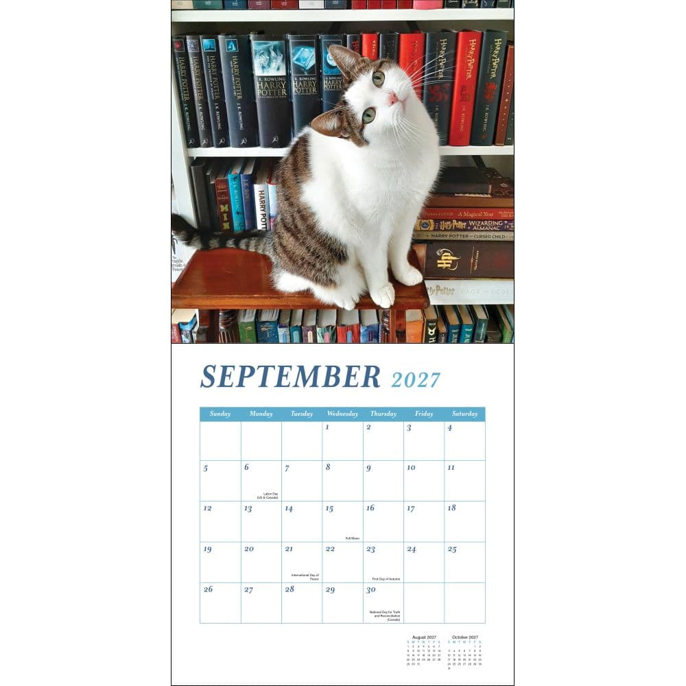 Cats and Books 2027 Wall Calendar Third Alternate Image