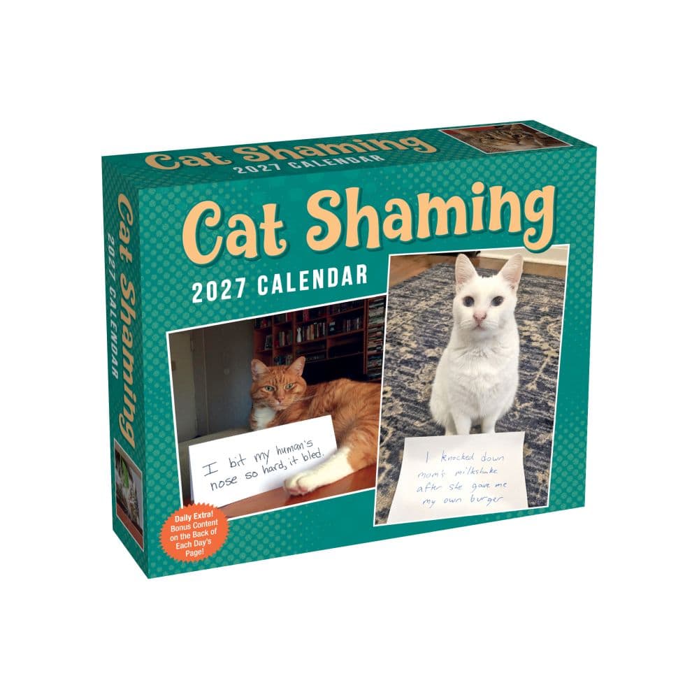 Cat Shaming 2027 Desk Calendar Main Product Image