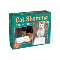 image Cat Shaming 2027 Desk Calendar Main Product Image