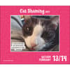 image Cat Shaming 2027 Desk Calendar Second Alternate Image