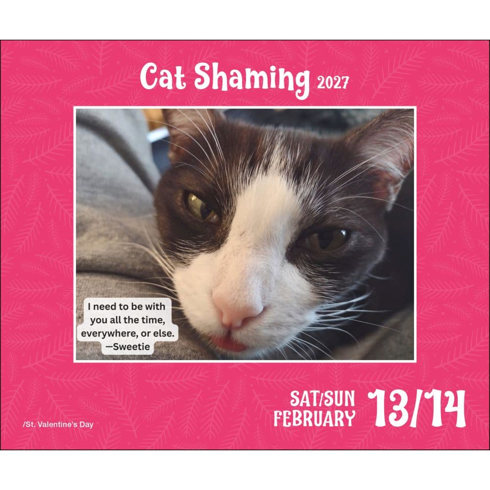 Cat Shaming 2027 Desk Calendar Second Alternate Image