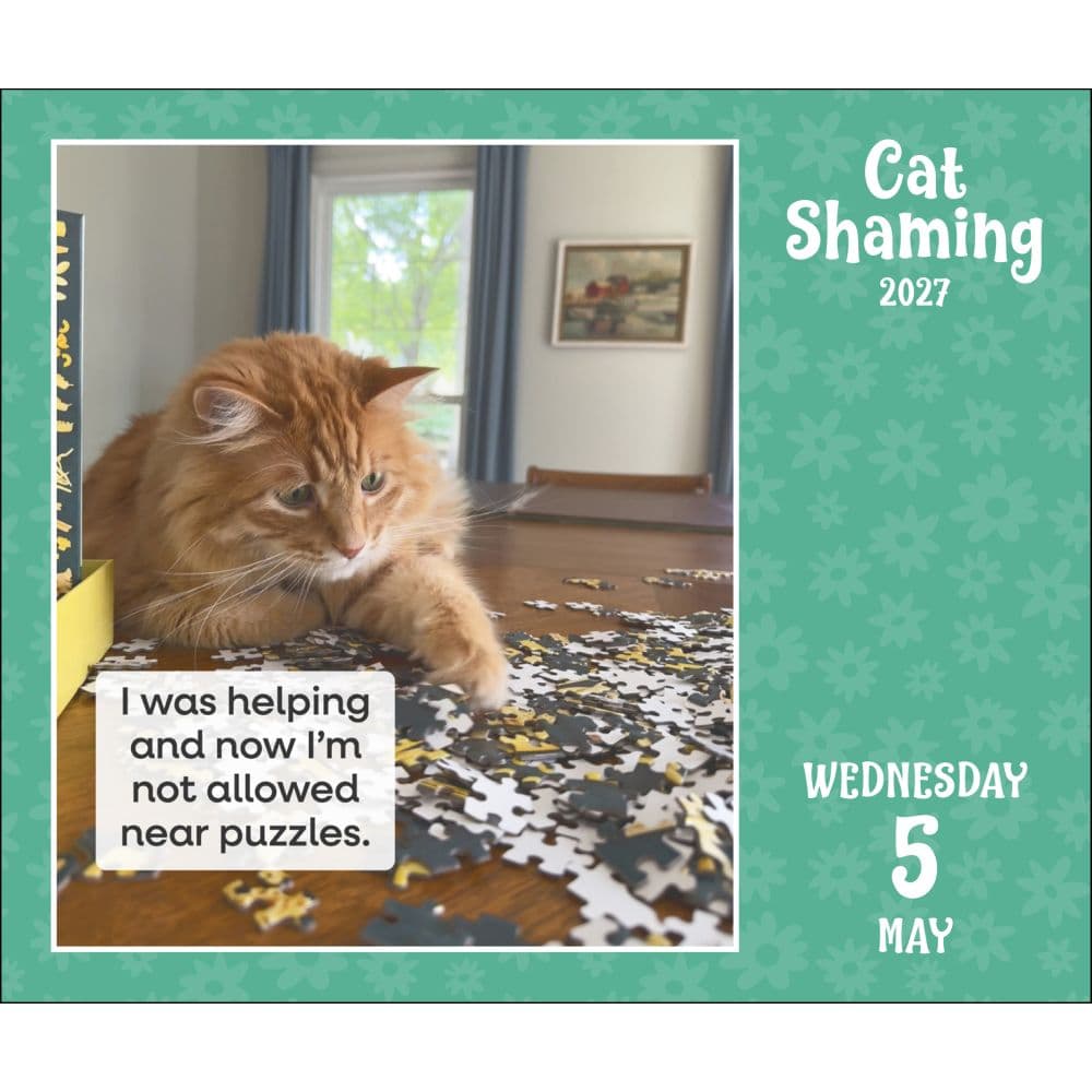 Cat Shaming 2027 Desk Calendar Third Alternate Image