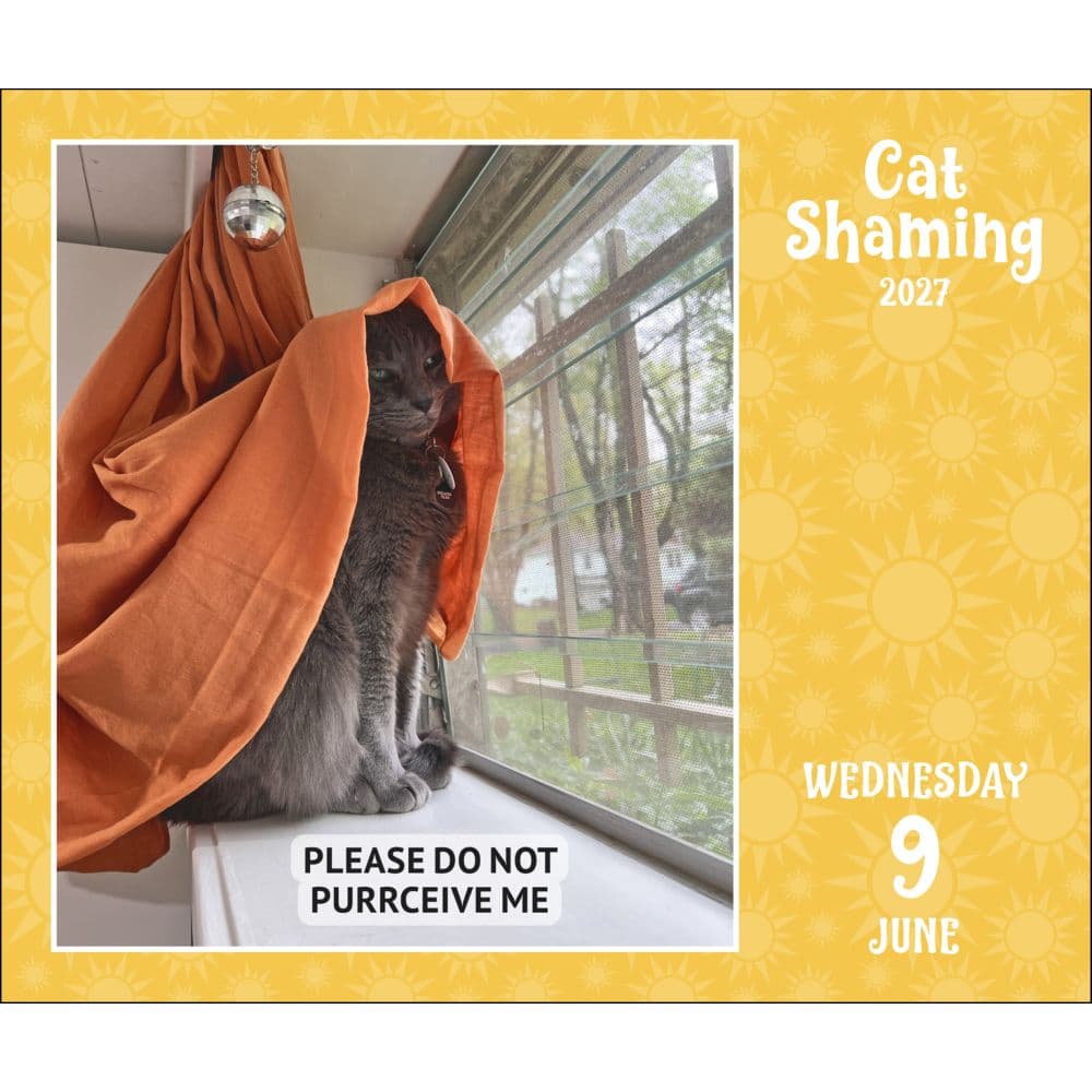 Cat Shaming 2027 Desk Calendar Fourth Alternate Image
