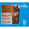 image Cat Shaming 2027 Desk Calendar Fifth Alternate Image