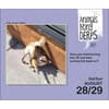 image Animals Being Derps 2027 Desk Calendar Third Alternate Image