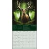 image Anne Stokes Elementals 2027 Mini Wall Calendar Second Alternate Image