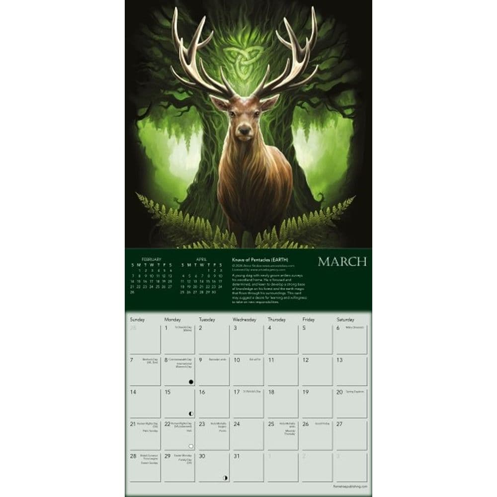 Anne Stokes Elementals 2027 Mini Wall Calendar Second Alternate Image