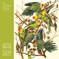 image Fitzwilliam Museum Audubon Birds 2027 Wall Calendar Main Product Image