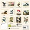 image Fitzwilliam Museum Audubon Birds 2027 Wall Calendar First Alternate Image