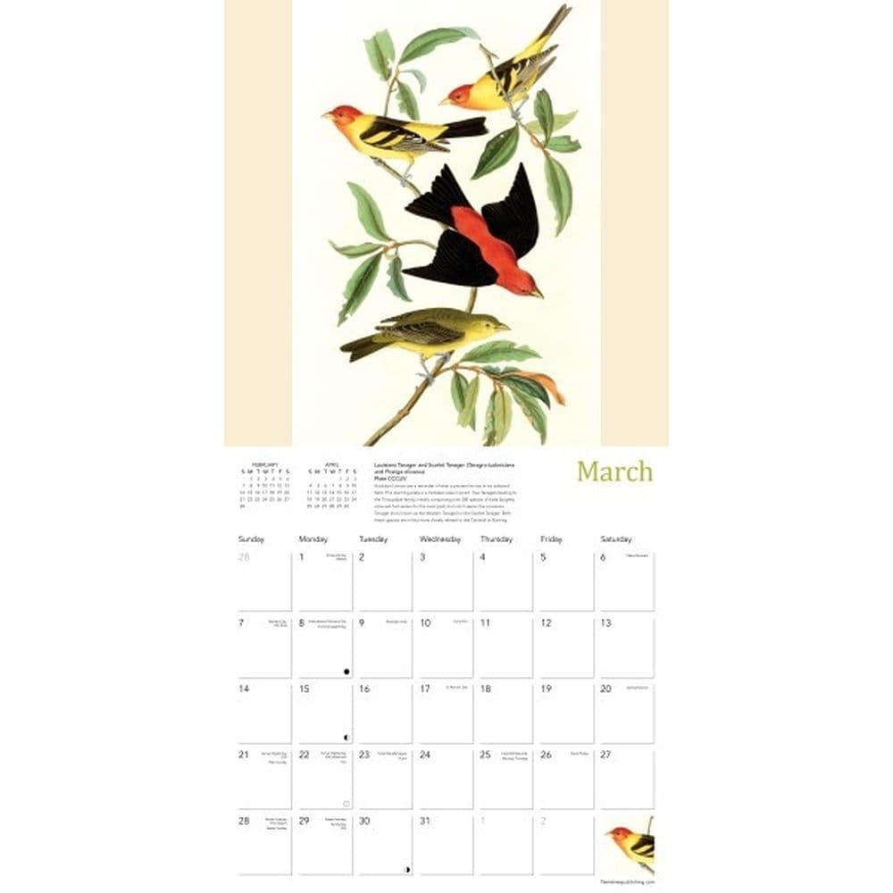 Fitzwilliam Museum Audubon Birds 2027 Wall Calendar Second Alternate Image