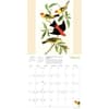 image Fitzwilliam Museum Audubon Birds 2027 Wall Calendar Second Alternate Image