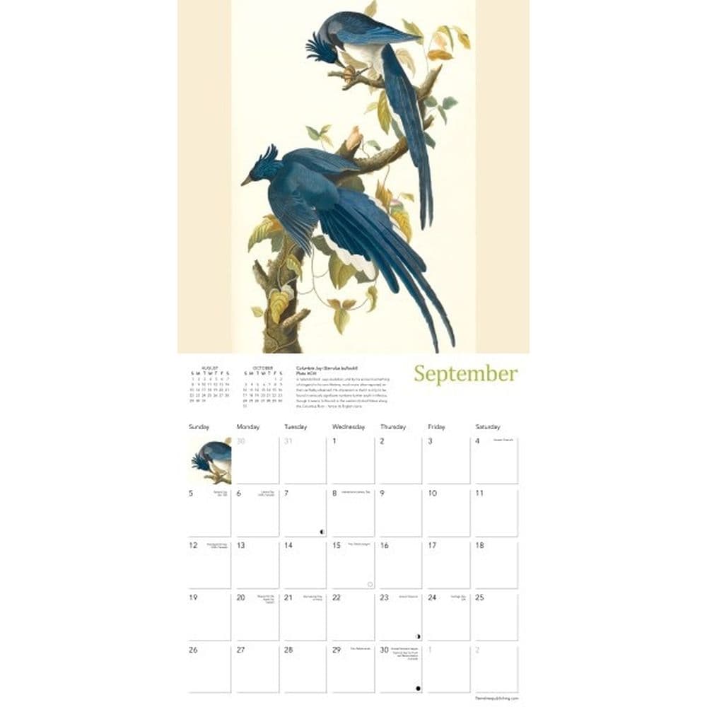 Fitzwilliam Museum Audubon Birds 2027 Wall Calendar Third Alternate Image