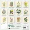 image Royal Botanic Gardens Edinburgh 2027 Wall Calendar First Alternate Image