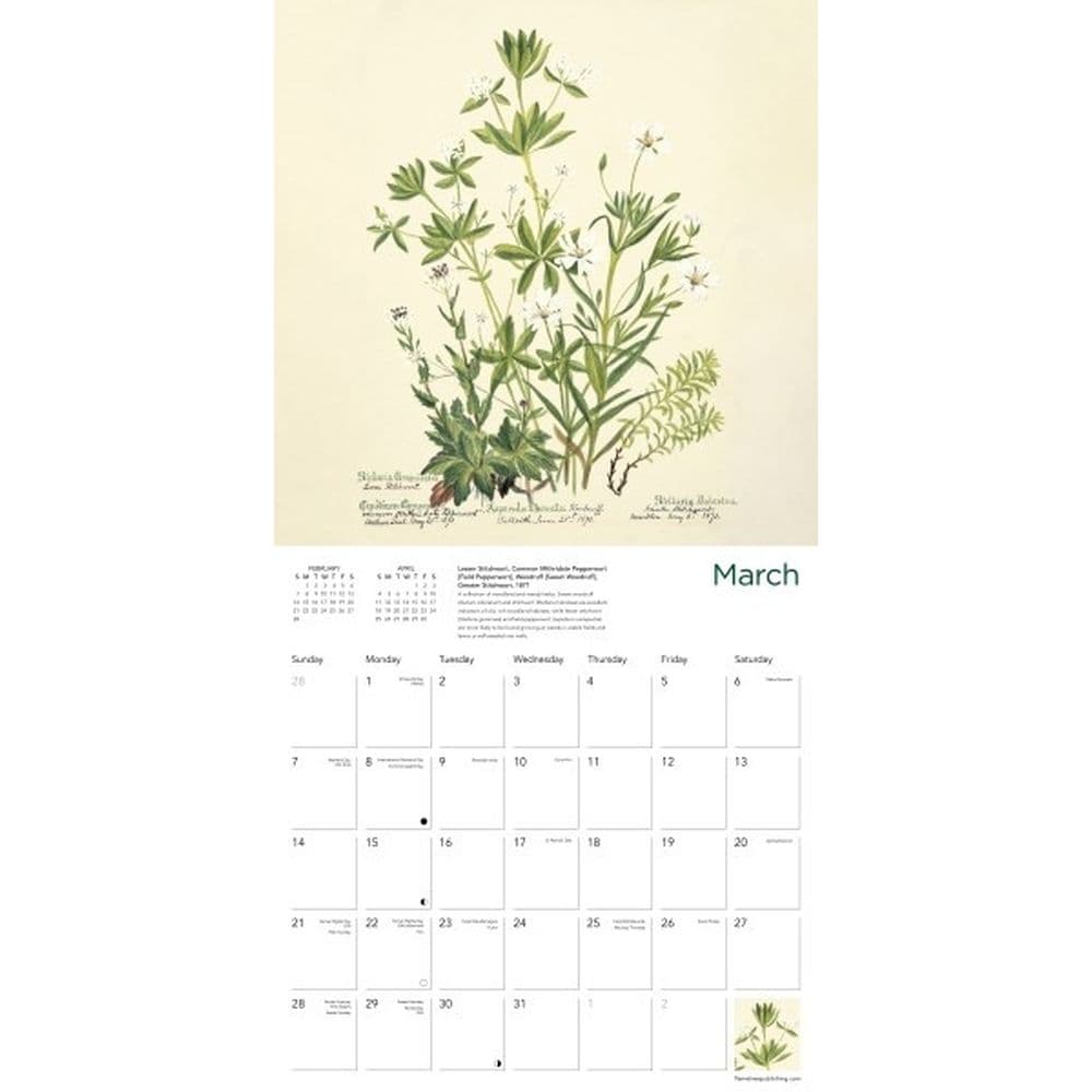 Royal Botanic Gardens Edinburgh 2027 Wall Calendar Second Alternate Image