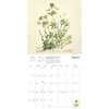image Royal Botanic Gardens Edinburgh 2027 Wall Calendar Second Alternate Image