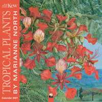 image Kew Gardens Tropical Plants by Marianne North 2027 Wall Calendar Main Product Image