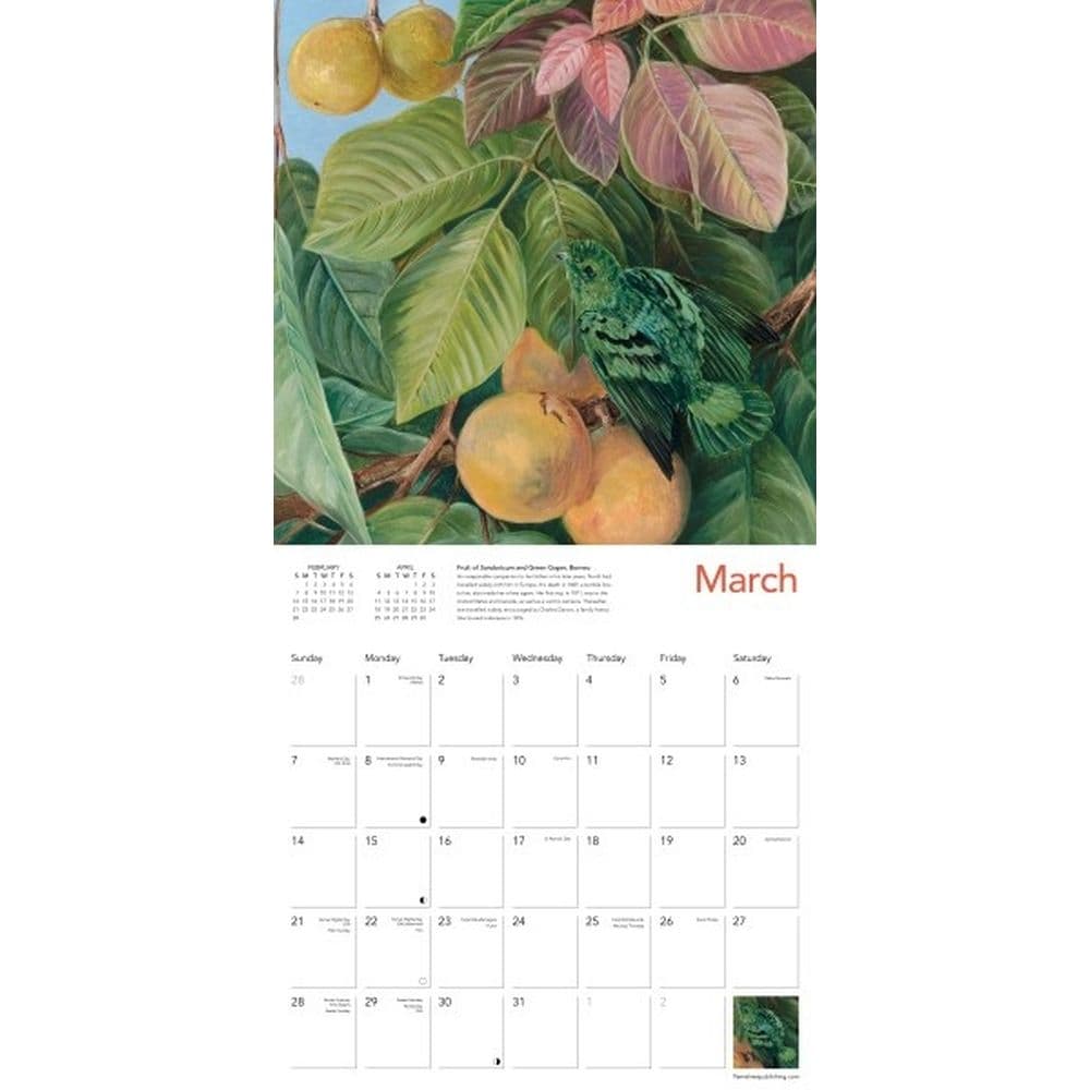 Kew Gardens Tropical Plants by Marianne North 2027 Wall Calendar Second Alternate Image
