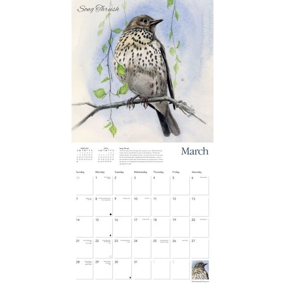 Chris Pendletons Garden Birds 2027 Wall Calendar Second Alternate Image
