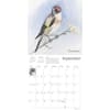 image Chris Pendletons Garden Birds 2027 Wall Calendar Third Alternate Image