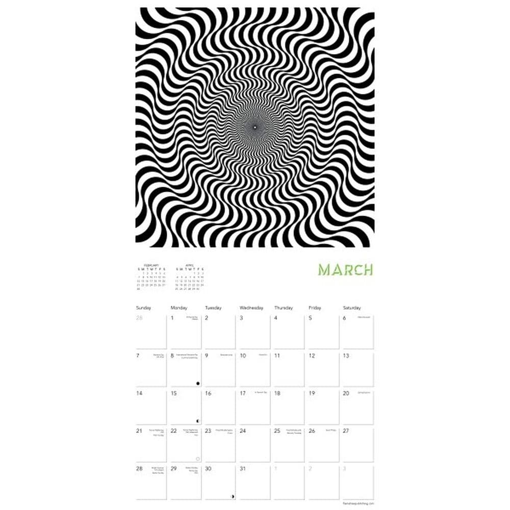 Optical Illusions 2027 Wall Calendar Second Alternate Image