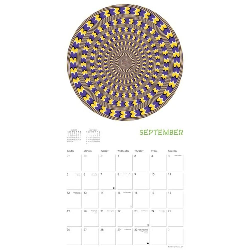 Optical Illusions 2027 Wall Calendar Third Alternate Image