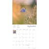 image Zen Art and Poetry 2027 Wall Calendar Third Alternate Image