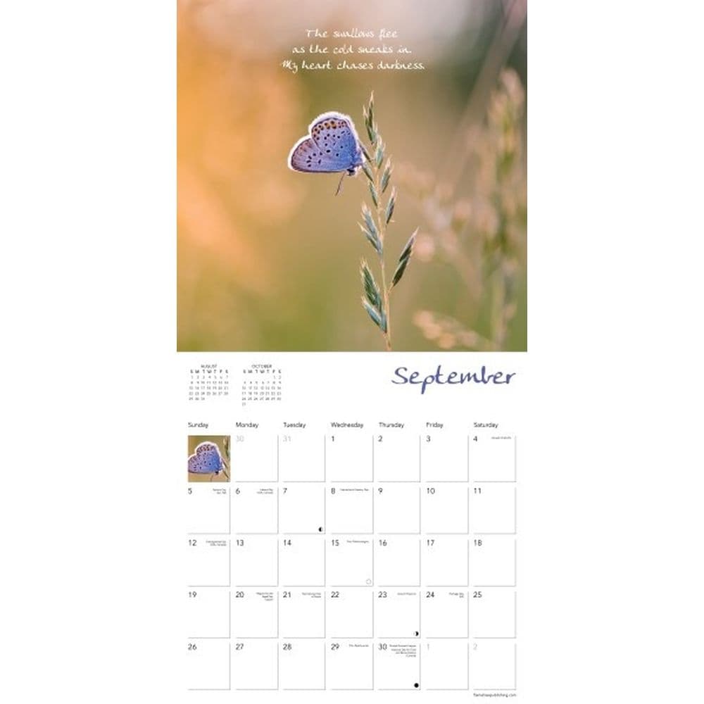 Zen Art and Poetry 2027 Wall Calendar Third Alternate Image